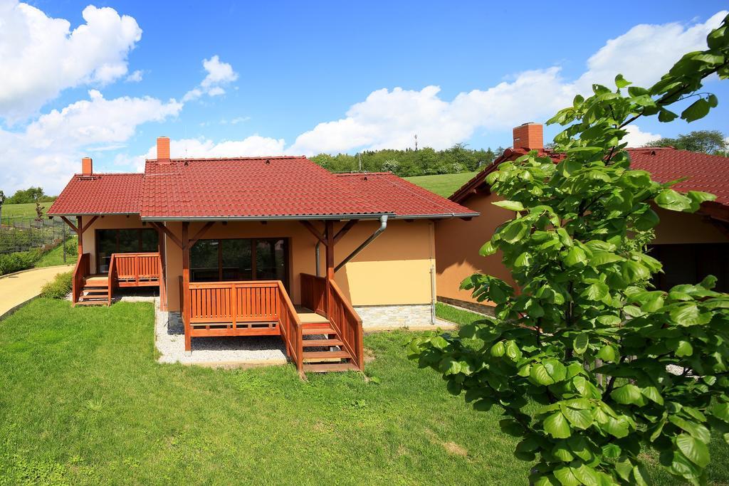 Harmonie Guest house Zlutice